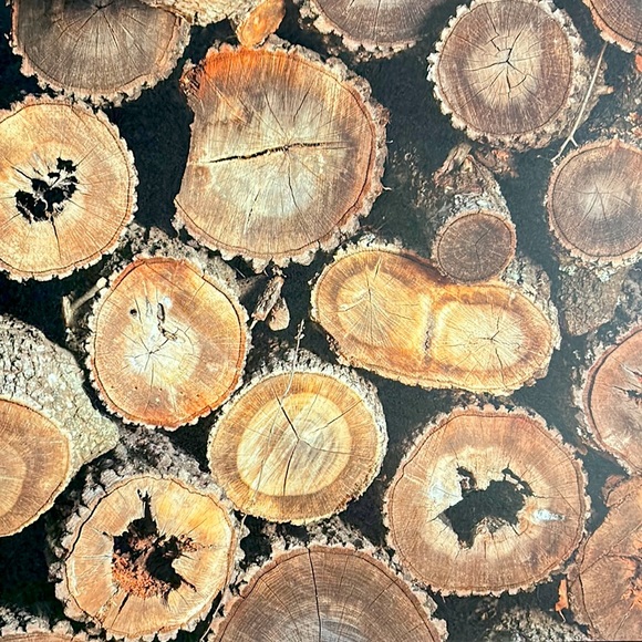 Scrapbook Paper! Wood Backgrounds & Textures! 12x12” - Picture 17 of 17